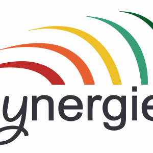 logo_SYNERGIES_2020_web-01